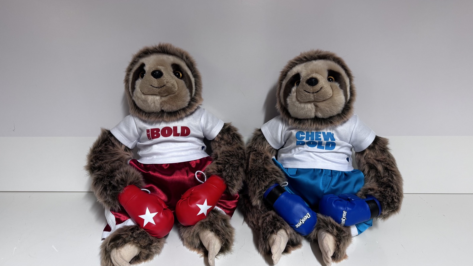 Custom branded plush mascots